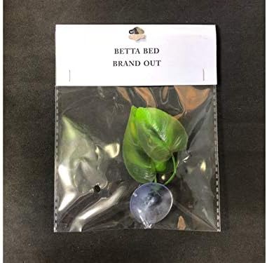 CousDUoBe 2 Pack Betta Fish Leaf Pad Improves Betta's Health by Simulating the Natural Habitat - Natural, Organic, Comfortable Rest Area for Fish Aquarium Ornaments