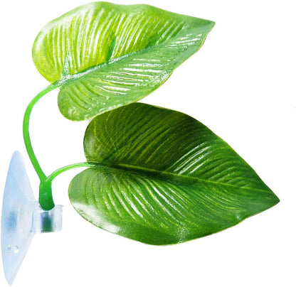 CousDUoBe 2 Pack Betta Fish Leaf Pad Improves Betta's Health by Simulating the Natural Habitat - Natural, Organic, Comfortable Rest Area for Fish Aquarium Ornaments