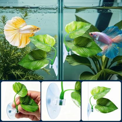 CousDUoBe 2 Pack Betta Fish Leaf Pad Improves Betta's Health by Simulating the Natural Habitat - Natural, Organic, Comfortable Rest Area for Fish Aquarium Ornaments