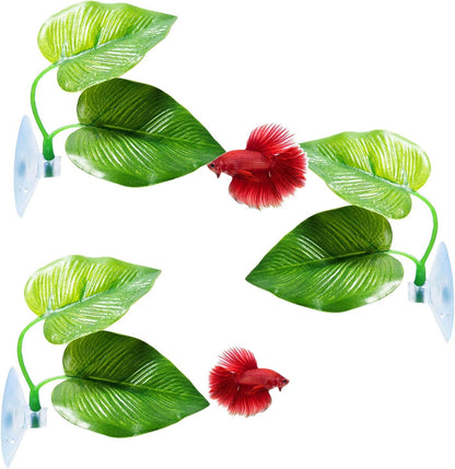 CousDUoBe 2 Pack Betta Fish Leaf Pad Improves Betta's Health by Simulating the Natural Habitat - Natural, Organic, Comfortable Rest Area for Fish Aquarium Ornaments