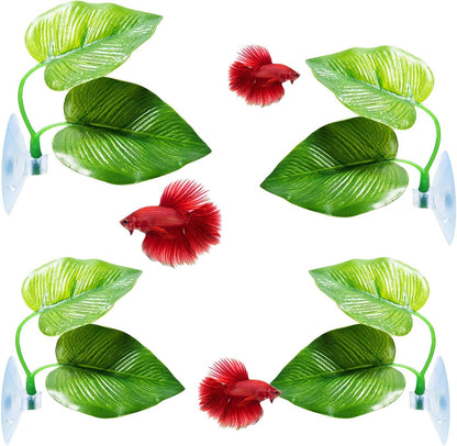 CousDUoBe 2 Pack Betta Fish Leaf Pad Improves Betta's Health by Simulating the Natural Habitat - Natural, Organic, Comfortable Rest Area for Fish Aquarium Ornaments