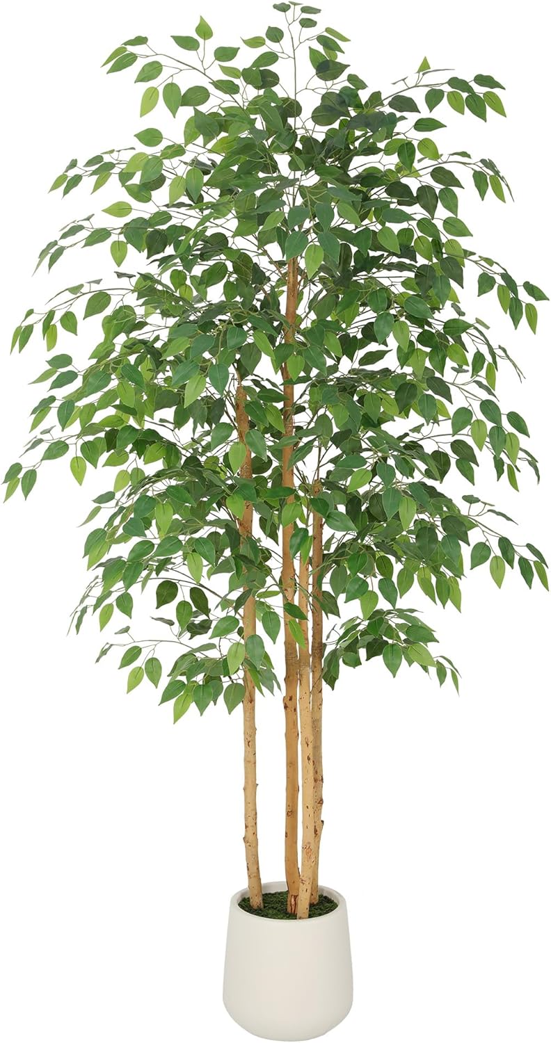 6ft Ficus Tree Artificial with Double Real Wood Trunks, 72in Faux Ficus Tree with Lifelike Leaves, Fake Ficus Tree for Living Room Bedroom Office Decor