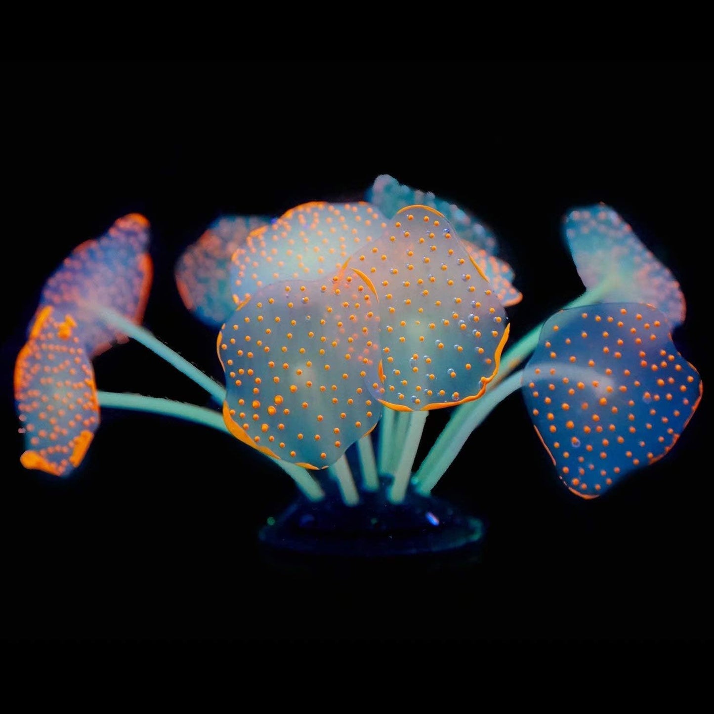 Silicone Coral Plant Decorations Glowing Artificial Ornament for Fish Tank Aquarium, Green, Ball Shape