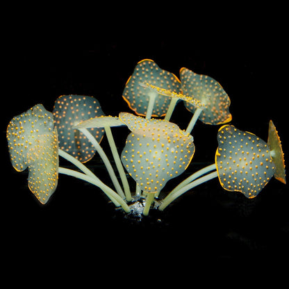 Silicone Coral Plant Decorations Glowing Artificial Ornament for Fish Tank Aquarium, Green, Ball Shape
