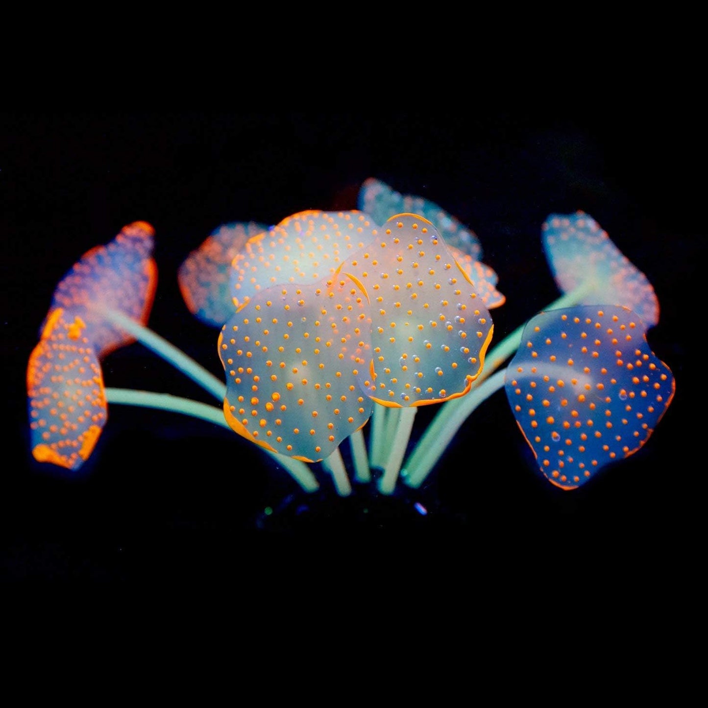 Silicone Coral Plant Decorations Glowing Artificial Ornament for Fish Tank Aquarium, Green, Ball Shape