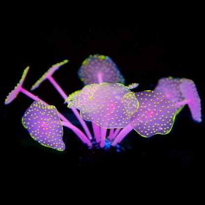 Silicone Coral Plant Decorations Glowing Artificial Ornament for Fish Tank Aquarium, Green, Ball Shape