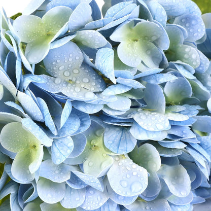 40pcs Artificial Hydrangea Silk Flower Heads with Stems, Fake Flowers for Wedding Centerpiece Home Garden Party Decoration (Blue)