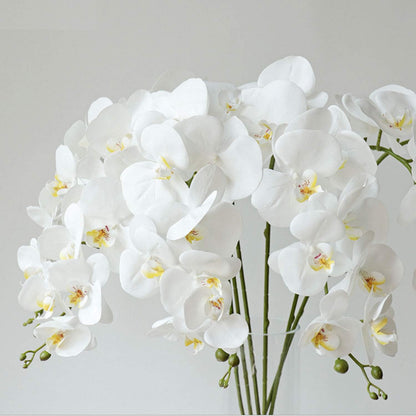 32 Inches Artificial Phalaenopsis Flowers 4 Pcs with 2 Bundles Leaves Artificial Orchid Flowers Stem Plants for Home Décor (White)