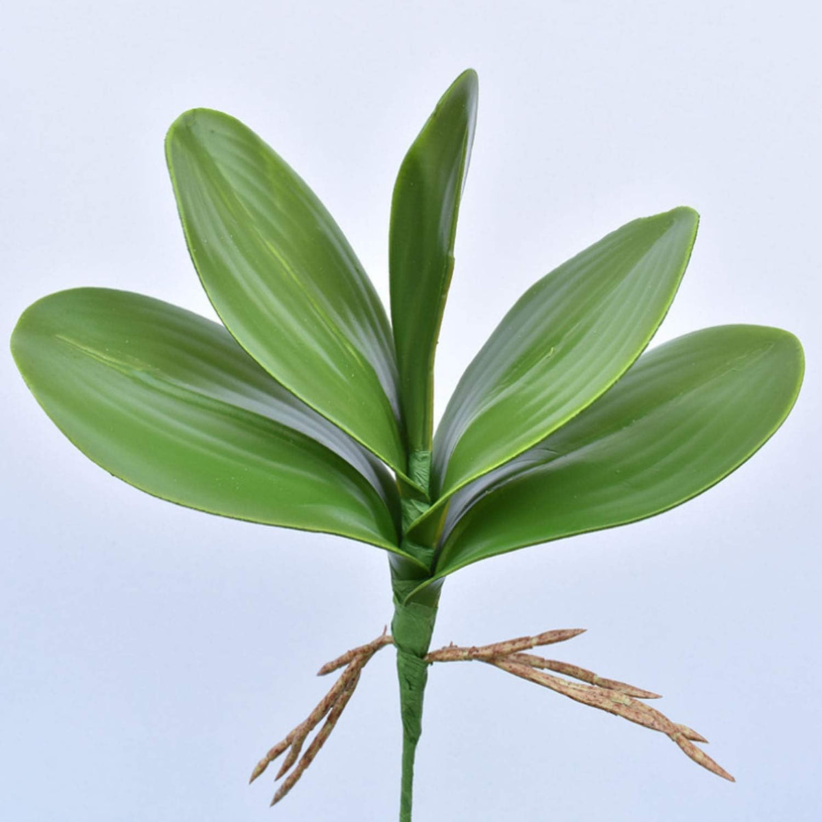32 Inches Artificial Phalaenopsis Flowers 4 Pcs with 2 Bundles Leaves Artificial Orchid Flowers Stem Plants for Home Décor (White)