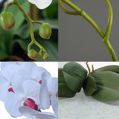 32 Inches Artificial Phalaenopsis Flowers 4 Pcs with 2 Bundles Leaves Artificial Orchid Flowers Stem Plants for Home Décor (White)