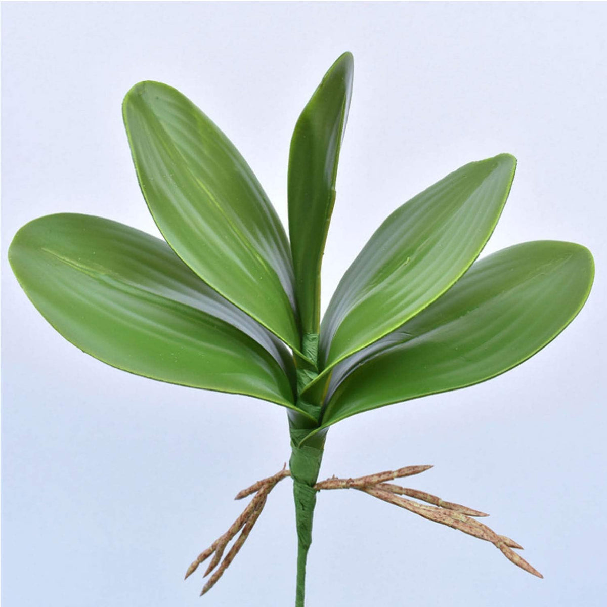 32 Inches Artificial Phalaenopsis Flowers 4 Pcs with 2 Bundles Leaves Artificial Orchid Flowers Stem Plants for Home Décor (White)