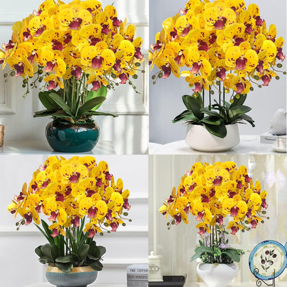 32 Inches Artificial Phalaenopsis Flowers 4 Pcs with 2 Bundles Leaves Artificial Orchid Flowers Stem Plants for Home Décor (White)
