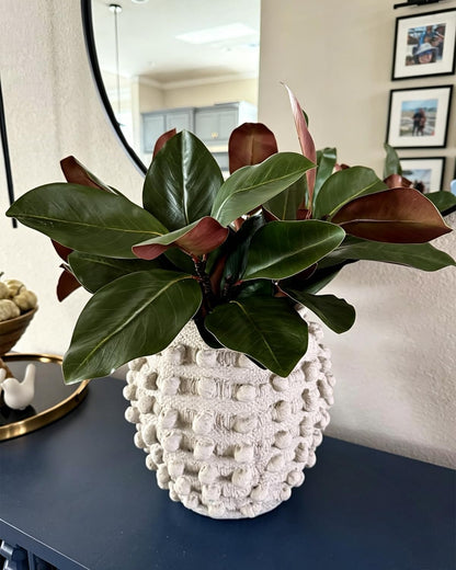 3 Stems Faux Magnolia Flowers, Magnolia Fake Flowers, Real Touch Creamy White Southern Magnolia Stems Artificial Realistic, Faux Florals for Vase