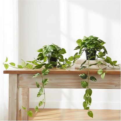 33" Artificial Pothos Hanging Plants Fake Ivy Vine with Pot - 2 Pack Realistic Silk Leaf Faux Greenery for Home Living Room Office Desk Bookshelf Indoor Decor, Low Maintenance (White-Green)