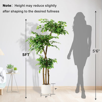 Artificial Ficus Tree with White Planter, Moss and Pebbles, 5FT