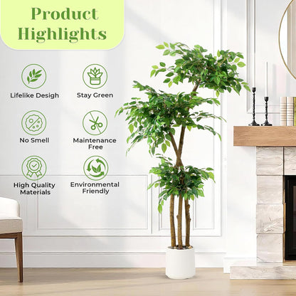 Artificial Ficus Tree with White Planter, Moss and Pebbles, 5FT