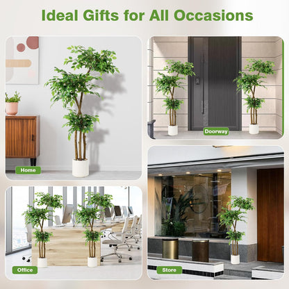 Artificial Ficus Tree with White Planter, Moss and Pebbles, 5FT