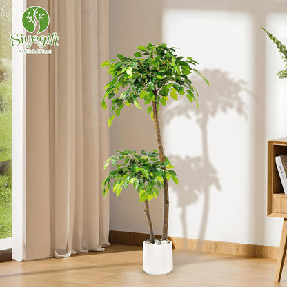 Artificial Ficus Tree with White Planter, Moss and Pebbles, 5FT