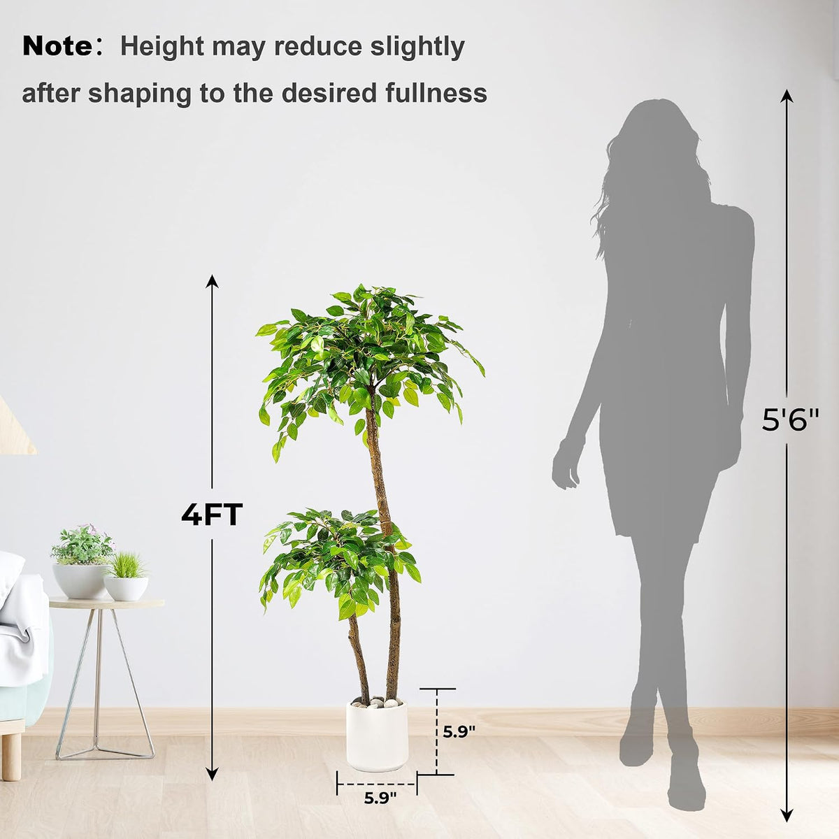 Artificial Ficus Tree with White Planter, Moss and Pebbles, 5FT