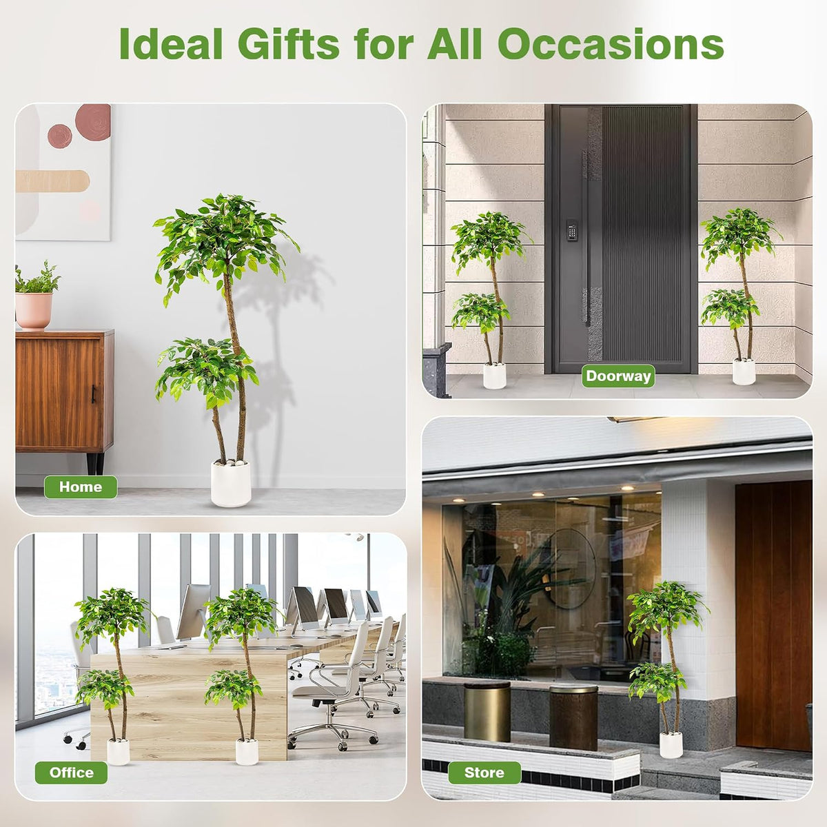 Artificial Ficus Tree with White Planter, Moss and Pebbles, 5FT