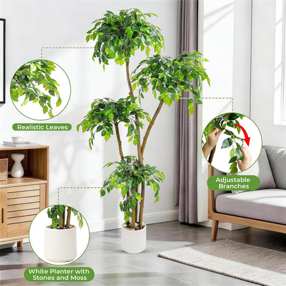 Artificial Ficus Tree with White Planter, Moss and Pebbles, 5FT