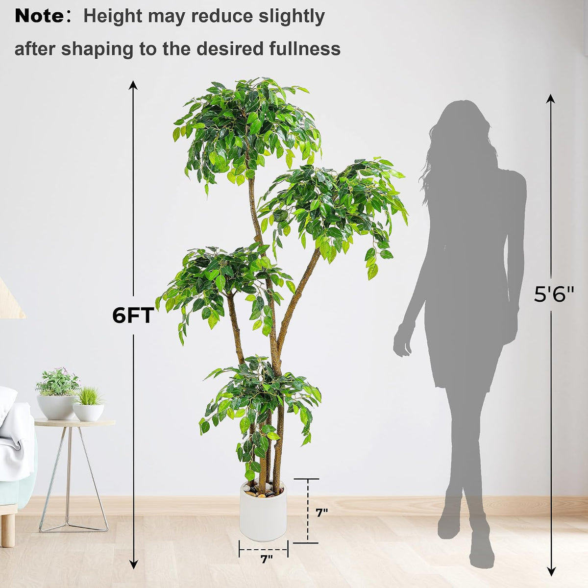 Artificial Ficus Tree with White Planter, Moss and Pebbles, 5FT