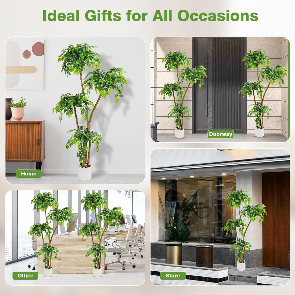 Artificial Ficus Tree with White Planter, Moss and Pebbles, 5FT