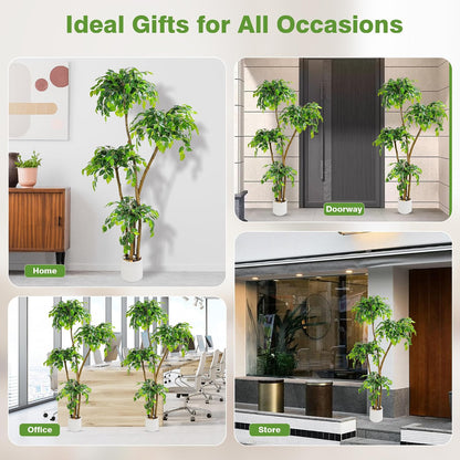 Artificial Ficus Tree with White Planter, Moss and Pebbles, 5FT