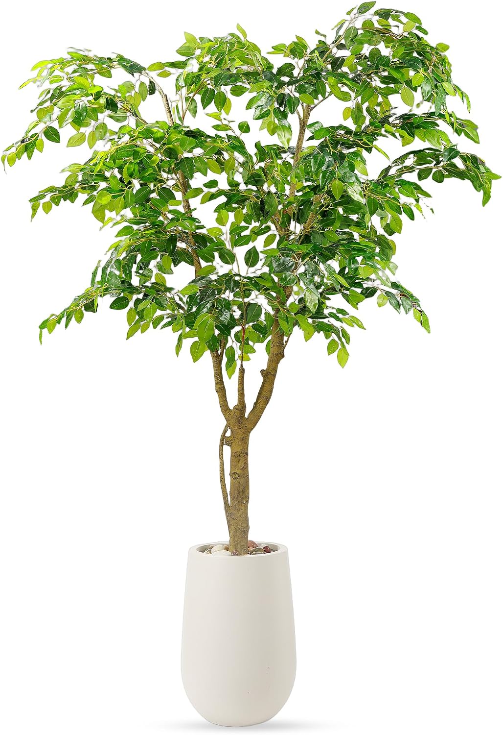 Artificial Ficus Tree with White Planter, Moss and Pebbles, 5FT