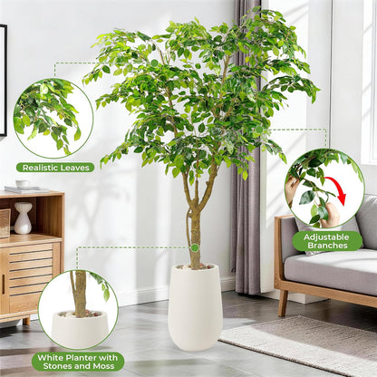 Artificial Ficus Tree with White Planter, Moss and Pebbles, 5FT