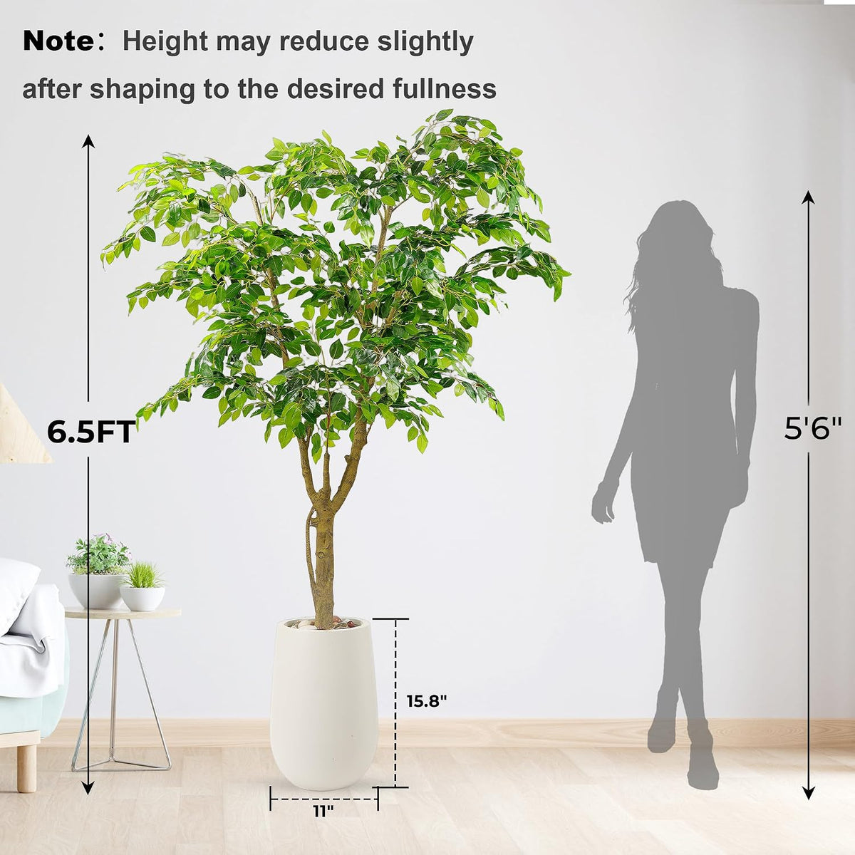 Artificial Ficus Tree with White Planter, Moss and Pebbles, 5FT