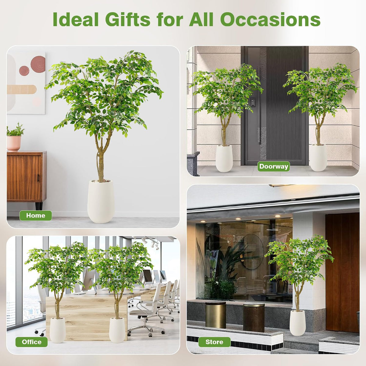 Artificial Ficus Tree with White Planter, Moss and Pebbles, 5FT