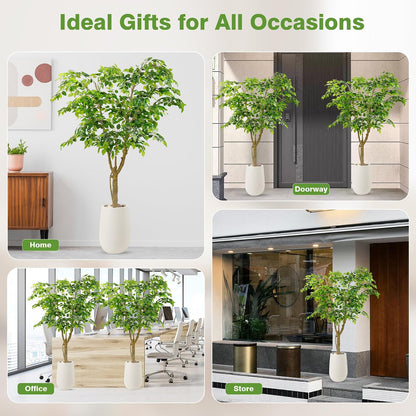 Artificial Ficus Tree with White Planter, Moss and Pebbles, 5FT