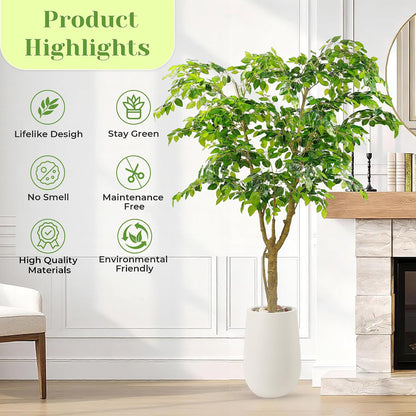 Artificial Ficus Tree with White Planter, Moss and Pebbles, 5FT