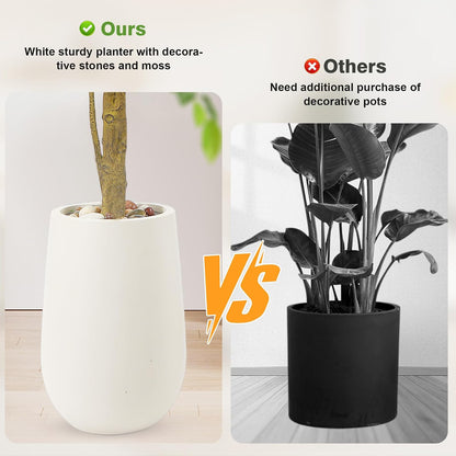 Artificial Ficus Tree with White Planter, Moss and Pebbles, 5FT