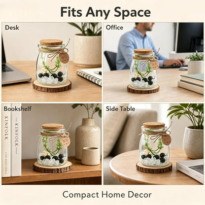 Moss Balls Glass Terrarium Kit - 5 Decorative Green Balls with Glass Jar, White Crystal, DIYAquarium and Desk Decor, Easy-Care Gift for Home and Office