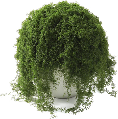Fake Moss for Potted Plants Indoor, 7oz Artificial Turf Grass for Crafts, Fairy Gardens, Dioramas, Terrariums, Dollhouses, Model, Miniature, Centerpieces, Party Table Decorations(Dark Green)
