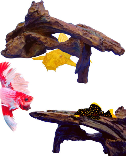 Driftwood 6" Aquarium Ornament - Tree Trunk Decor Fish Tank Wood