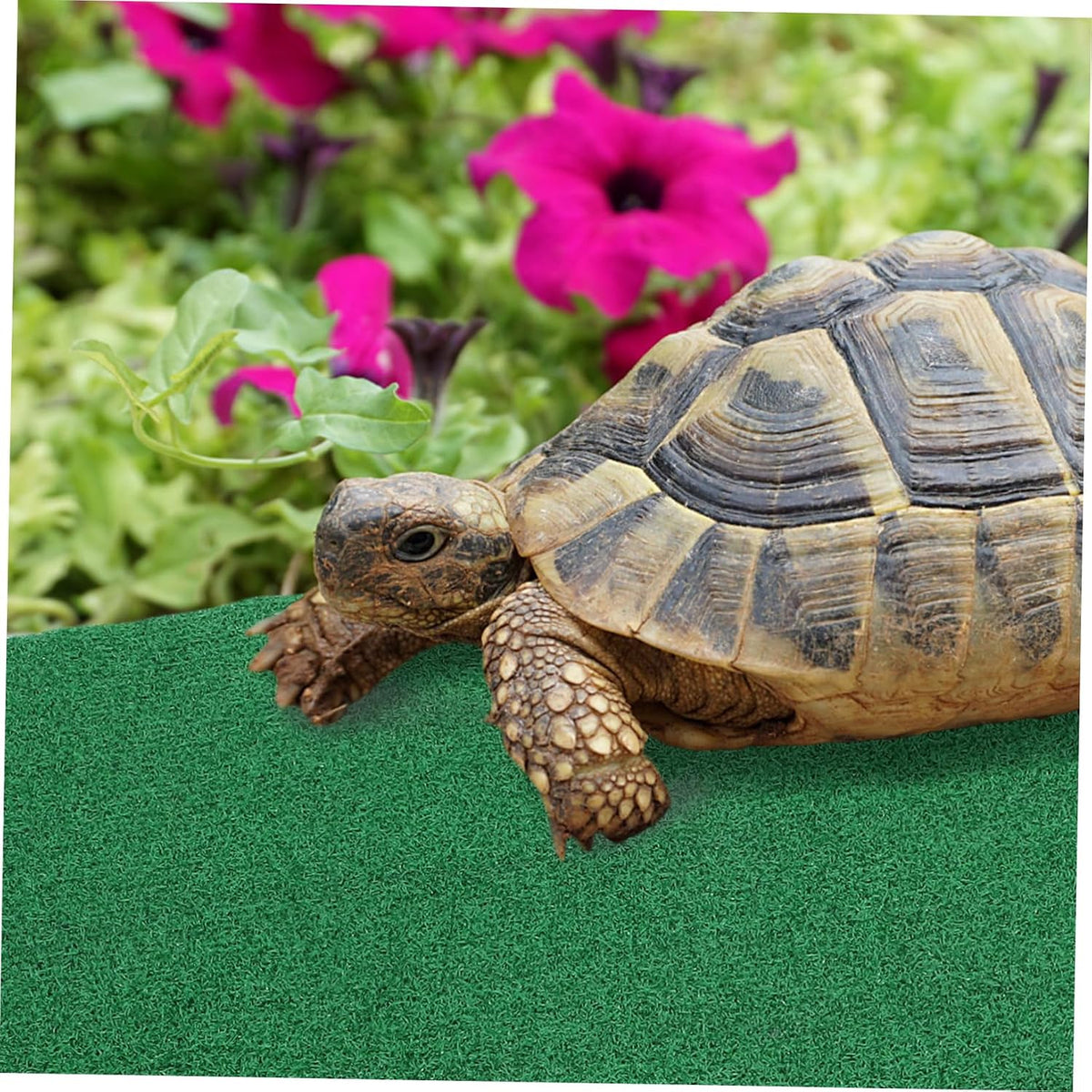 Realistic Fake Grass Mat for Fish Tank Turtle Use, Green Plastic