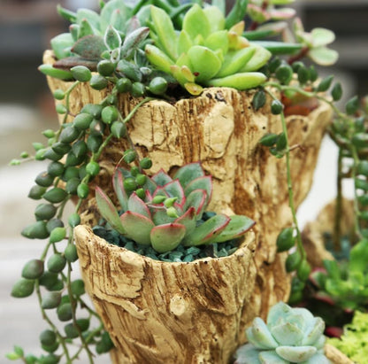 Stump Log Like Container Faux Driftwood Planter Resin Succulent Planter Pot | Vintage Container Pot for Home & Garden