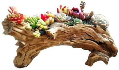 Stump Log Like Container Faux Driftwood Planter Resin Succulent Planter Pot | Vintage Container Pot for Home & Garden