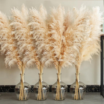 40" inch 10 Stems Natural Pampas Grass Decor Tall, pompas Grass, Tall Pampas Grass for Wedding, Party, Farmhouse, Boho Home Decor