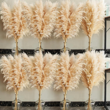 40" inch 10 Stems Natural Pampas Grass Decor Tall, pompas Grass, Tall Pampas Grass for Wedding, Party, Farmhouse, Boho Home Decor