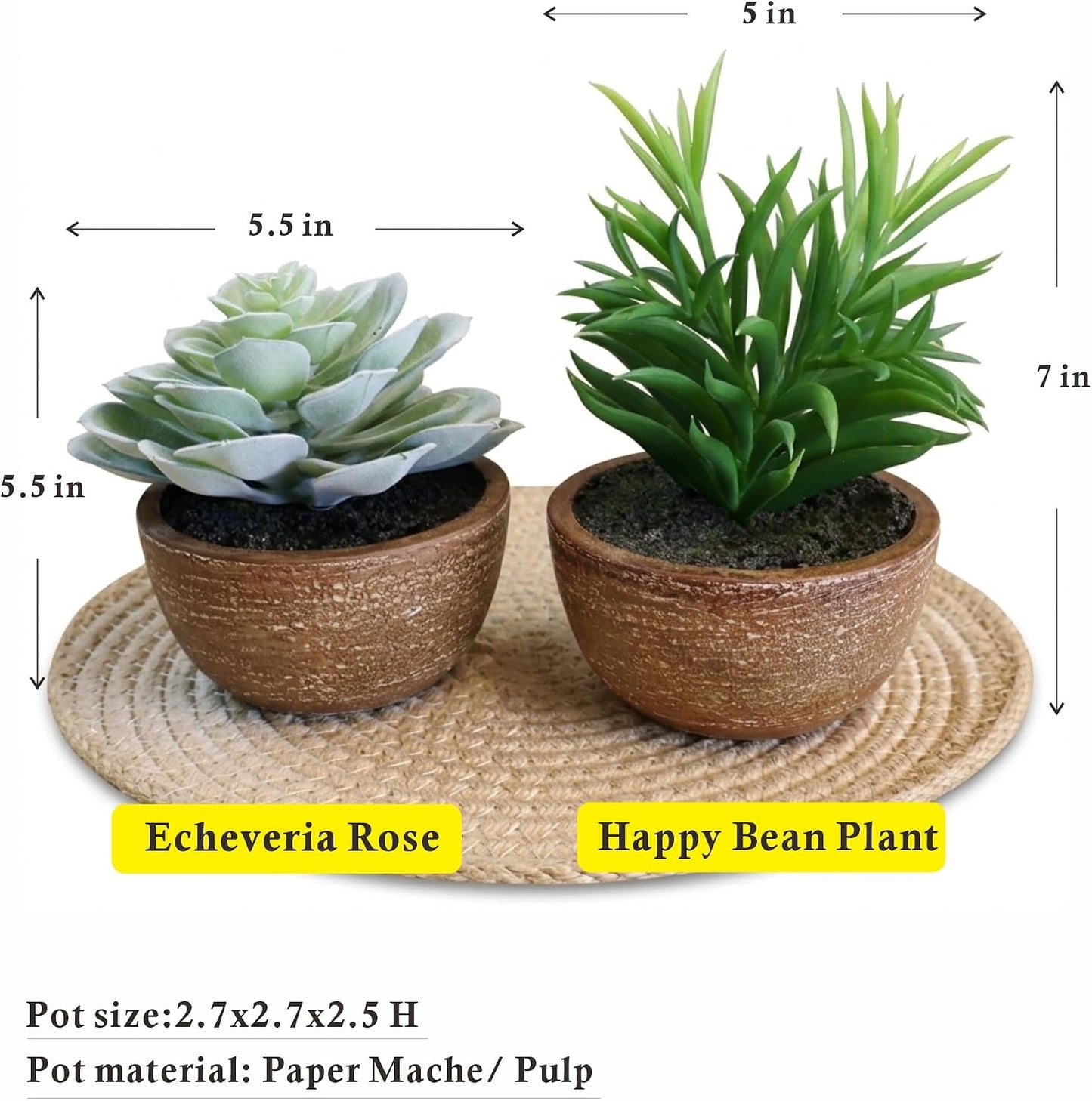 Artificial Succulents Plastic Artificial Green Plant for Office, Fake Succulents for Home Decoration (Set of 2 Succlents in Pots)