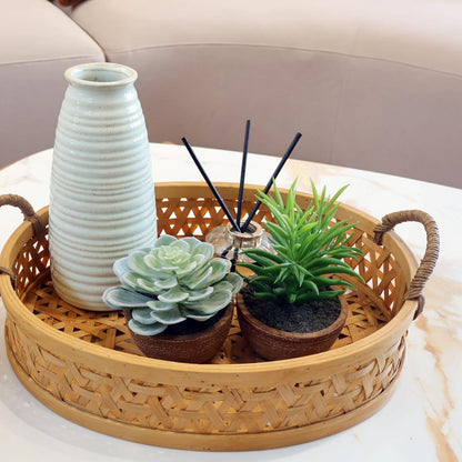 Artificial Succulents Plastic Artificial Green Plant for Office, Fake Succulents for Home Decoration (Set of 2 Succlents in Pots)