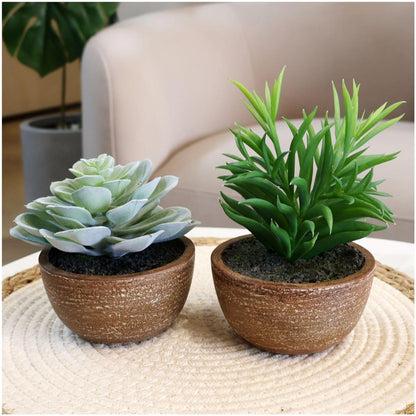 Artificial Succulents Plastic Artificial Green Plant for Office, Fake Succulents for Home Decoration (Set of 2 Succlents in Pots)