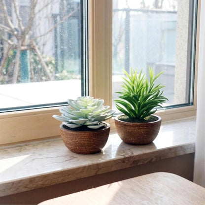 Artificial Succulents Plastic Artificial Green Plant for Office, Fake Succulents for Home Decoration (Set of 2 Succlents in Pots)