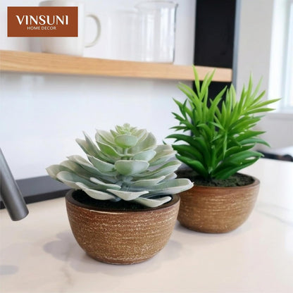 Artificial Succulents Plastic Artificial Green Plant for Office, Fake Succulents for Home Decoration (Set of 2 Succlents in Pots)