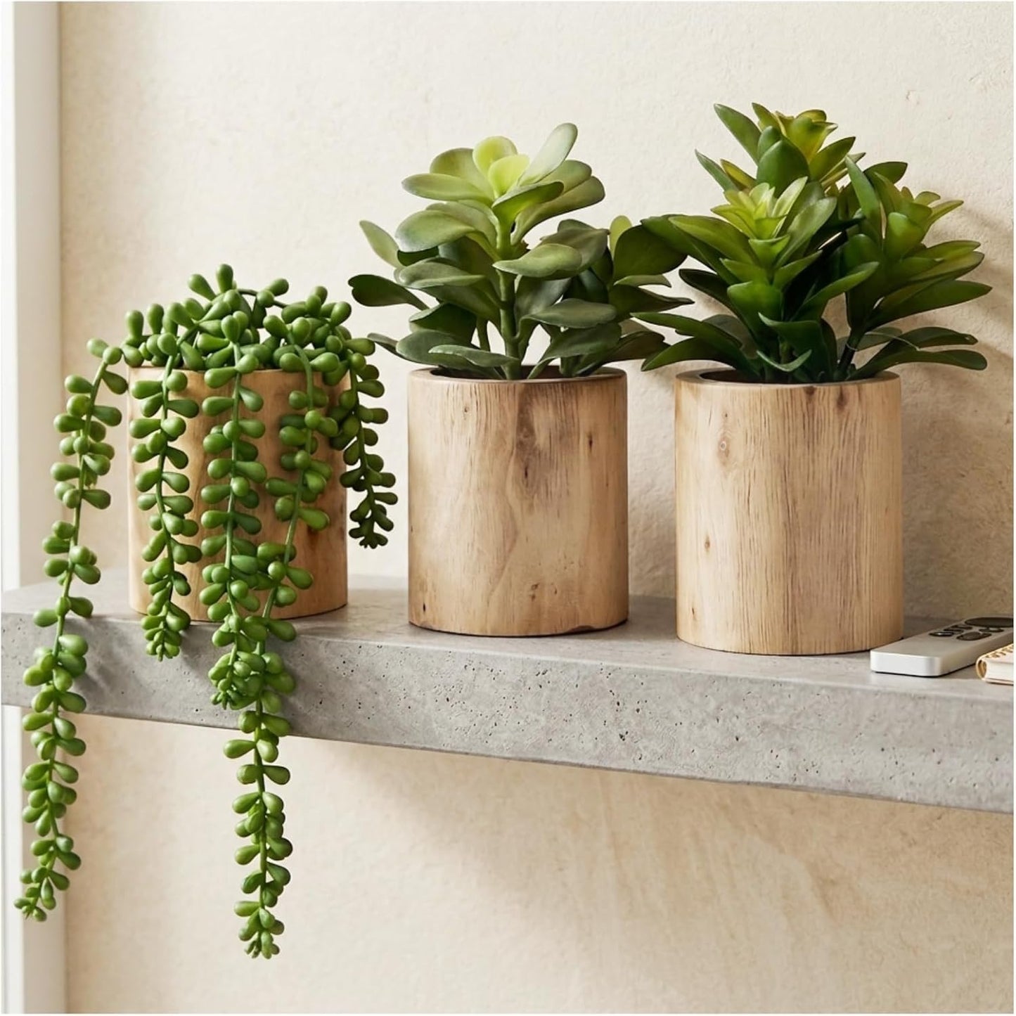 Artificial Succulents Plastic Artificial Green Plant for Office, Fake Succulents for Home Decoration (Set of 2 Succlents in Pots)