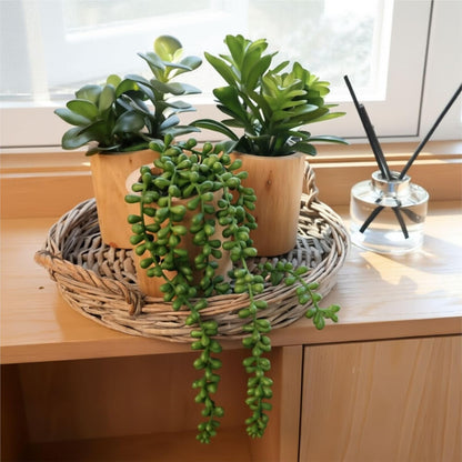 Artificial Succulents Plastic Artificial Green Plant for Office, Fake Succulents for Home Decoration (Set of 2 Succlents in Pots)